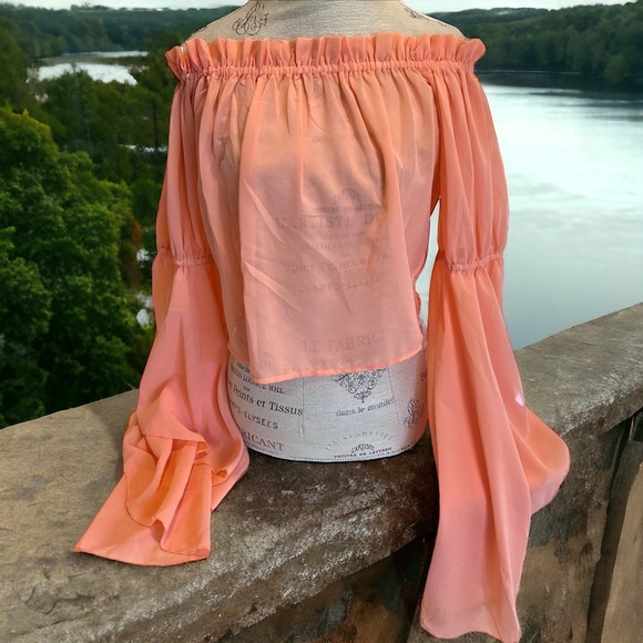 Feel beautiful in this romantic ruffled semi-sheer and feminine peach blouse - Picture 3 of 16